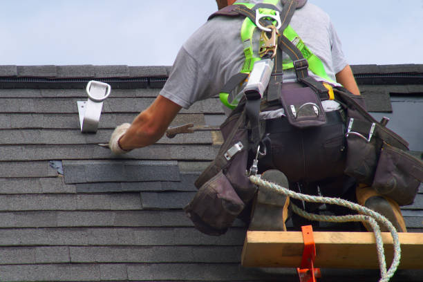 Best Shingle Roofing Installation  in Foley, MN