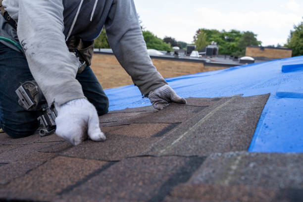 Best Roof Repair Services  in Foley, MN