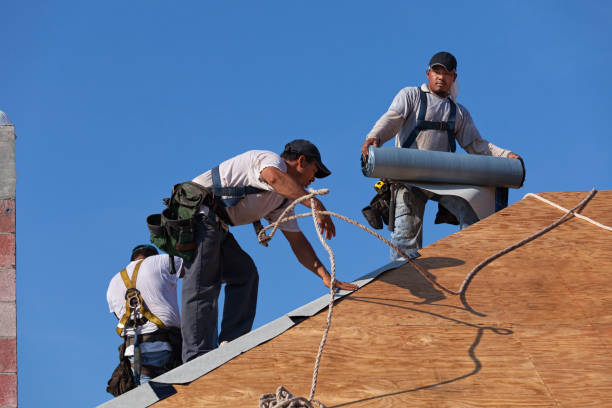 Best Roof Gutter Cleaning  in Foley, MN