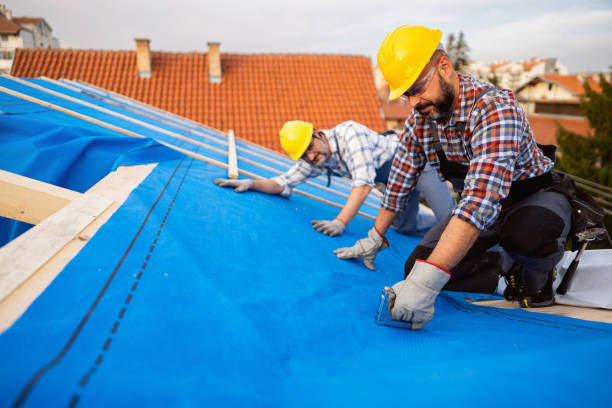 Professional Roofing Contractor in Foley, MN