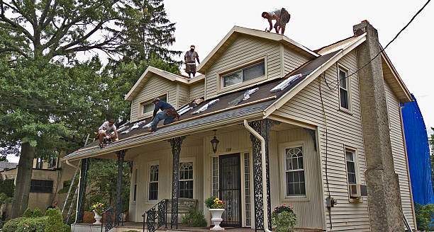 Best Roof Leak Repair  in Foley, MN
