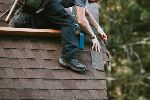 Best Metal Roofing Contractor  in Foley, MN